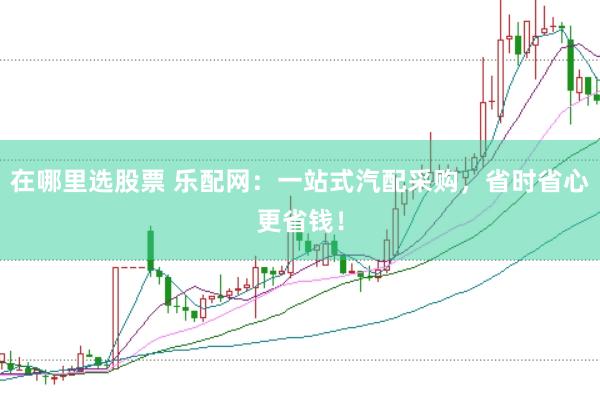 在哪里选股票 乐配网：一站式汽配采购，省时省心更省钱！