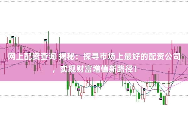 网上配资查询 揭秘:探寻市场上最好的配资公司,实现财富增值新路径!