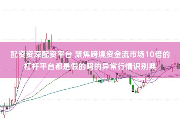 配资资深配资平台 聚焦跨境资金流市场10倍的杠杆平台都是假的吗的异常行情识别典